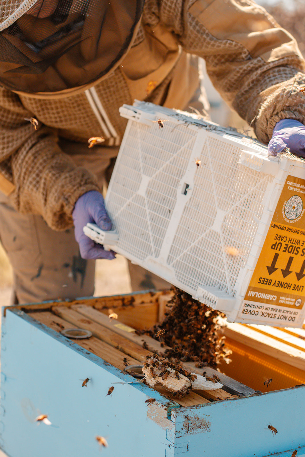 Sponsor-A-Hive