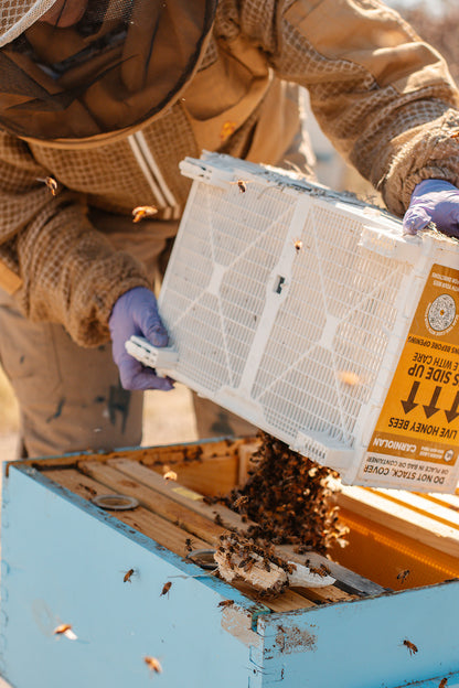 Sponsor-A-Hive
