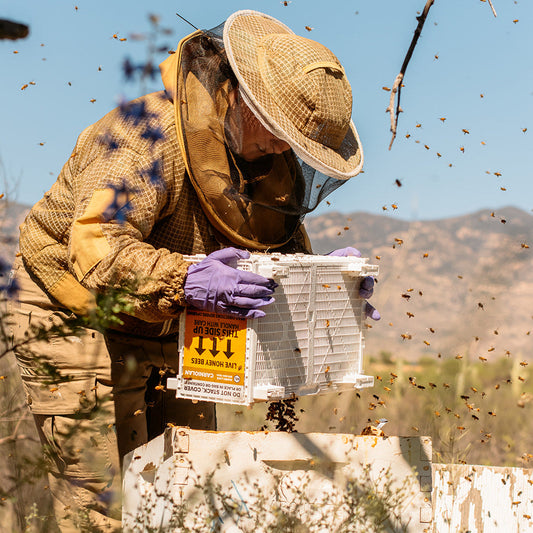 Sponsor-A-Hive